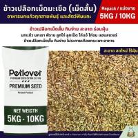 ราคา ❁(5KG/10KG) ข้าวเปลือกเม็ดมะเขือ เม็ดสั้น อาหารนกแก้วทุกสายพันธุ์ หนูแฮมสเตอร์ ไก่ชน ไก่แจ้❇ (1733503388705981512)