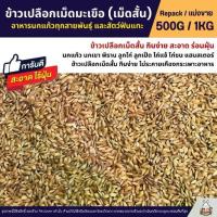 ราคา ♤ข้าวเปลือกเม็ดมะเขือ ข้าวเปลือกเม็ดสั้น อาหารนกแก้ว หนูแฮมสเตอร์ ไก่ชน ไก่แจ้ (แบ่งขาย 500G / 1KG)♒ (1733503388652308438)