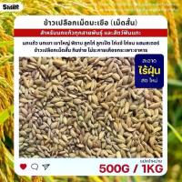 ราคา ❋ข้าวเปลือกเม็ดมะเขือ ข้าวเปลือกเม็ดสั้น อาหารนกแก้ว หนูแฮมสเตอร์ ไก่ชน ไก่แจ้ (แบ่งขาย 500G / 1KG)☟ (1733503392395986100)