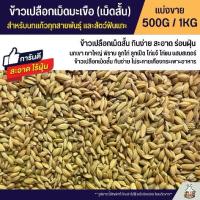 ราคา จัดส่งถึงบ้าน ข้าวเปลือกเม็ดมะเขือ ข้าวเปลือกเม็ดสั้น อาหารนกแก้วทุกสายพันธุ์ หนูแฮมสเตอร์ ไก่ชน ไก่แจ้ (แบ่งขาย 250G / 500G / 1KG) (1733443241559164362)