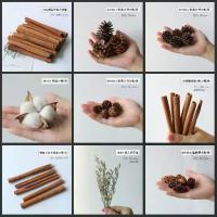 ราคา ดอกไม้แห้ง อบแห้งด้วยอากาศ อบเชย มะนาว ลูกสน ดอกไม้แห้งผสม ช่อดอกไม้สด ตกแต่งเครื่องกระจายกลิ่นหอม ชุดวัสดุ DIY (1734147583707088787)