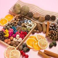 ราคา ผลไม้ธรรมชาติ ลูกโอ๊ก อบเชย ของตกแต่งทำมือ DIY ดอกไม้แห้ง ผลไม้แห้ง อุปกรณ์ถ่ายภาพวินเทจ ดอก กระเจียวบาน ดอกไม้ ประดิษฐ์ (1733781970541578126)