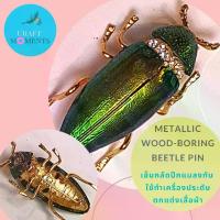ราคา คู่รัก CRAFT MOMENTS: เข็มกลัดแมลงทับ เข็มกลัด เข็มกลัดตกแต่งเสื้อผ้า เข็มกลัดประดับเสื้อ METALLIC WOOD BORING BEETLE BROOCH แมลงทับ JEWEL BEETLE PIN (ปีกแท้) BEETLE PINS สไตล์อินเทรนด์ (1734340314407