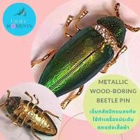 ราคา CRAFT MOMENTS: เข็มกลัดแมลงทับ ปีกแมลงทับ BEETLE WING BROOCH ปีกแมลงทับเจาะรู แมงทับ คําแนะนําผลิตภัณฑ์ใหม่ของเดือนนี้ (1733946752212042992)