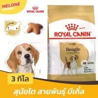 ราคา Royal Canin Beagle Adult อาหารสุนัข รอยัลคานิน สุนัขโต พันธุ์ บีเกิ้ล บีเกิล อายุ 12 เดือนขึ้นไป ขนาด 3 kg คําแนะนําผลิตภัณฑ์ใหม่ของเดือนนี้ (1734376580936336816)