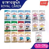 ราคา Live (1.5kg - 2Kg) Royal canin รอยัลคานิน อาหารสุนัข Mini Indoor Puppy/ Mini Indoor Adult/Mini puppy/Mini Adult/Mini 8+ (1734045586096948812)