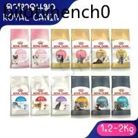ราคา ♧Live (1.2Kg-2Kg) อาหารแมว Royal Canin โรยัลคานิน BabyCat/Kitten/Indoor/FIT/Sensible/Exigent/Sterilised/Urinary ครบทุกูตร❦ (1733684409149851218)