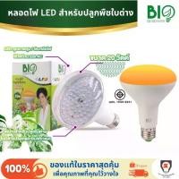 ราคา ♝Bio Energys หลอดไฟ LED (BR30) ปลูกพืช ปลูกต้นไม้ หลอดไฟปลูกต้นไม้ 20W Grow light LED Indoor plants♢ (1734445735411221505)