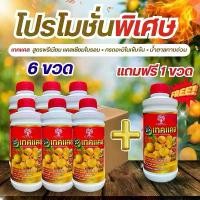 ราคา [COD] [Tiktok]ชุดพิเศษโปร 6 เเถม 1 สูตรขยายผลจัมโบ้ aaa เทคเเคลขยายผลใหญ่เร่งด่วน เพิ่มรสชาติ เร่งทำสี ขนาด 1 ลิตร ทาหน้า ยาง ปุ๋ย น้ํา ซิ่ง ไร แดง ขุย มะพร้าว อัดก้อน ส่ง ฟรี ไซ (1733157951827838502)