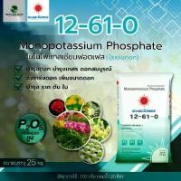 ราคา ปุ๋ย 12-61-0 โมโนโพแทสเซียมฟอสเฟต กระสอบ 25 Kg ดวงตะวันเพชร (1731307922548361058)