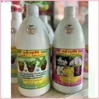 ราคา น้ําอบทอง สินค้าขายดี ขายดี ขาย ร้อน แผ่นเจลน้ําให้แมวเล่น แนะนำวันนี้ COD อัลฟ่า โอเมก้า กล้วยไม้ 1 ลิตร ปุ๋ยน้ำสำหรับกล้วยไม้โดยเฉพาะ ปุ๋ยbrn สารจับใบ (1731048599329081399)