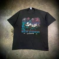 ราคา เสื้อยืดมือสอง เสื้อยืดวินเทจ ผ้าบาง งานเก่า tshirt for men พ่อค้า วินเทจ 90s มือสอง ฟอก สตุ๊ดซี่ ปุ๋ย สไตล์ มินิมอล แนว สตรีท (1733195204532602493)