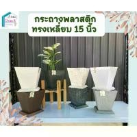 ราคา กระถางพลาสติกทรงเหลี่ยม สวย หรู ขนาด15 นิ้ว แถมถาดรอง ปุ๋ย รุ่งอรุณ (1733190602534061571)