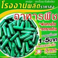 ราคา พร้อมจัดส่งทันที เม็ด 269.-แคปซูลเขียวนาโนพืช เร่งเขียวเร่งโตเพิ่มผลิต1แคปต่อน้ำ20ลิตรฉีดพ่นใช้ได้กับพืชทุกชนิ ปุ๋ย บัว ตาข่าย พลาสติก สูง เมตร คุม หญ้า พีท มอส 70 ลิตร เ (1734137947144815715)