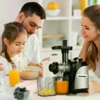 ราคา เครื่องคั้นแยกกากผักผลไม้ AOWAYS - Slow Juicer รุ่น ALW-J16 เครื่องคั้นน้ำผลไม้ช้า 150W 800 มล. (1734104157910042398)