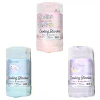 ราคา ผ้าห่มเย็นลายลิขสิทธิ์ Cooling blanket (1734367795219235978)