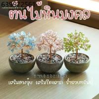 ราคา ต้นไม้ หินมงคล เสริม ฮวงจุ้ย โชคลาภ ร่ำรวย ความสูง 11 CM ของมงคล ของขวัญ ต้นไม้มงคล อเมทิสต์ โรสควอตซ์ ต้นไม้ปลอม (1734615685495162408)