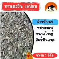 ราคา ☝เมล็ดทานตะวัน เอป้อม 1kg อาหารนก ขนาดกลาง-ใหญ่✾ (1733378782063789418)