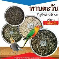 ราคา ☞[แบ่งขาย 1กก] อาหารนก _เม็ดทานตะวัน / ทานตะวันAป้อม ทานตะวันฮังการี ทานตะวันดำใน ทานตะวันขาว / ขนาด1kg.※ (1733193503862130371)