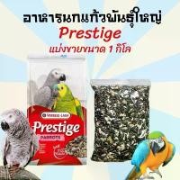ราคา ขายร้อน อาหารนก อาหารนกแก้ว ขนมนก ขนมนกแก้ว Presitge Parrot A อาหารนกตระกูลนกแก้ว เกรด A ขนาด 1 กิโลกรัม (1733509194425271688)