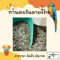 ราคา ขายร้อน ทานตะวันนกแก้ว *เล็ก*ขนาด 1Kg. ธัญพืช อาหารนก อาหารนกเล็ก เลิฟเบิร์ด หงหยก ฟอพัส อาหารนกแก้ว ธัญพืชนก (1733925450762454850)