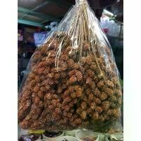 ราคา อาหารนก เมล็ดเจีย อาหารนกแก้ว ข้าวโอ๊ต อาหารนกอาหาร นก มิลเลตสเปรย์แดง แบบพวง บรรจุถุงละ 1/2 กิโล อาหารนก เมล็ดเจีย อาหารนกแก้ว ข้าวโอ๊ต อาหารนก (1733568906804823747)
