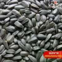 ราคา จัดส่งถึงบ้าน Black Sunflower ทานตะวันดำ 3เจ อาหารนก กระต่าย หนู กระต่าย กระรอก ชูก้า และสัตว์ฟันแทะ (แบ่งขาย 500G / 1KG) (1733435748417963959)