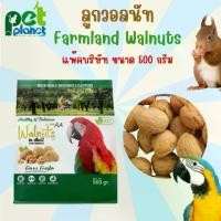 ราคา [500g.] ลูกวอลนัท Farmland Walnuts อาหารสำหรับ สัตว์เลี้ยง สัตว์ฟันแทะ นก นกแก้วขนาดใหญ่ กระรอก กระแต มาคอร์ อาหารนก (1732817638405146130)