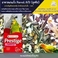 ราคา อาหารนก อาหารนกธัญพืช Parrot A อาหารนกซันคอร์นัวร์ ค็อกคาเทล ฟอพัส อาหารนกแก้ว (1734637353325462625)