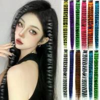 ราคา แฮร์พีชหางม้า 2ชิ้นค่ะ อุปกรณ์จัดแต่งทรงผม เสือดาวลายเสือดาว ส่วนต่อผมขนนก สายรุ้งสีรุ้ง ไร้รอยต่อไร้รอยต่อ ชิ้นส่วนผมที่มีสีสัน การ์ดหนึ่งใบ คลิปใน วิกผมยาวตรง สำหรับผู้หญิง (1734472607390598509)