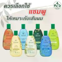 ราคา ❀Nimporn นิ่มพร แชมพูสมุนไพร และ ครีมนวด ลดผมร่วง จากธรรมชาติ☞ (1734667518951195772)