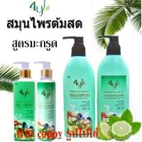 ราคา [สูตรมะกรูด] แชมพู+ครีมนวด สมุนไพรต้มสด 4yl thiland (1730653217718504246)