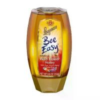 ราคา แนะนำ ขายร้อน Langnese Easy Wild Flower แลงนีส บี อีซี น้ำผึ้ง จากเกสรดอกไม้ 250g. (1734634738503419416)