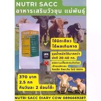 ราคา อาหารเสริมชีวภาพ สำหรับ วัวขุน วัวนม Nutrisacc Diary แข็งเเรง โตไว น้ำนมดี ลดความเสี่ยงการเกิดโรค จัดส่งจากกทม (1733849031298876645)