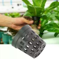 ราคา Cat and Dog Diary 30 ชิ้น ต้นไม้น้ำ ดำ ตะกร้าปลูกต้นไม้ในตู้ปลา พร้อมรู ฟังก์ชันการระบายน้ำ ตะกร้าปลูกต้นไม้น้ำ พลาสติก ที่วางต้นไม้ในตู้ปลา ใช้ในตู้ปลา (1734433597145908572)