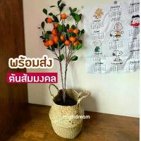 ราคา พร้อมส่ง❤️ ต้นเลมอน (พร้อมกระถาง) ต้นไม้ประดิษฐ์ ต้นส้ม ต้นไม้ปลอม ของแต่งบ้าน ต้นไม้มงคล ส้มจี้ด (1733311183707539268)