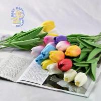 ราคา ลดราคา[เลือก] ♫< พร้อมส่ง 11สี > ดอกทิวลิป Decorate Tulip 18 สี กลีบนุ่ม มีdetail ดอกไม้ประดิษฐู์ ของแต่งบ้าน ดอกไม้ ทิวลิป♥ (1734671220440990876)