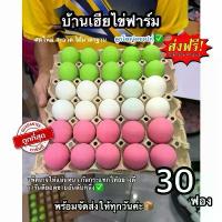 ราคา ไข่เค็ม10ฟอง ไข่เยี่ยวม้า(ชมพู)10ฟอง ไข่เยี่ยวม้า(ชาเขียว)10ฟอง ต้มสุก ส่งฟรี ไม่เค็มมาก การันตีความอร่อย (1734376840029701499)