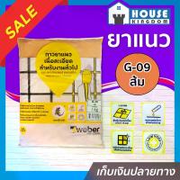 ราคา ยาแนว ยาแนวกระเบื้อง Weber ตราตุ๊กแก G-09 สีส้ม น้ำหนัก 1 กก. เนื้อละเอียด ทนสารเคมี ไม่แตกร้าว Weber Saint-Gobain เวเบอร์ ยาแนวสำเร็จรูป ยาแนวกันซึม ยาแนวห้องน้ำ กาวยาแนว (1729617064127465983)