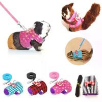 ราคา พร้อมส่งจากไทย Moebi Pet ปลอกคอกระรอก สายจูงกระรอก โซ่กระรอก สายรัดอกกระรอก โซ่ล่ามกระรอก สัตว์เลี้ยงขนาดเล็ก คุ้ยเขี่ย กระรอก ความปลอดภัย ปรับได้ ควบคุมและใช้ประโยชน์ สายจูง สาย (1733321503907612384)