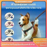 ราคา สายจูงสุนัข สายจูงหมา เชือกหมา สายจุงสุนัข สายจูง สายรัดอก รัดอกสุนัข เชือกจูง สุนัขพันธุ์เล็ก-ใหญ่ (1734636010019784069)
