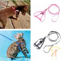 ราคา (พร้อมส่ง / หมาแมวไซส์เล็ก) ที่รัดอก สายจูง แมวเด็ก หมาเด็ก ชิวาวา พูดเดิ้ลทอย ยอร์คเชียร์ มอลทีส (1734589221057103815)