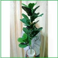 ราคา ต้นไม้ปลอม ต้นไทรใบสักปลอม สูง 95 cm. กระถางสีขาว + หิน!!! (1734059243623319096)