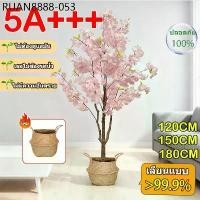 ราคา จัดส่ง 24 ชมดอกซากุระปลอม ต้นไม้ปลอม ต้นไม้มงคล ความจำลอง99%สำหรับตกแต่งบ้านและสวน (1733752294130549761)