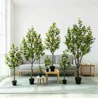 ราคา ต้นมะนาวเทียมในสต็อก ตกแต่งห้องนั่งเล่น ต้นไม้ปลอม พืชสีเขียว บอนไซ อุปกรณ์ถ่ายภาพ การจัดดอกไม้ ต้นมะนาว (1733886177817691624)