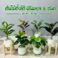 ราคา ต้นไม้ปลอม(ฟรี!! หินโรยกระถาง) ตั้งโต๊ะ ตั้งหน้าทีวี พร้อมกระถางและหินสีขาว ขนาดสูง 40 cm (1734652450060666583)