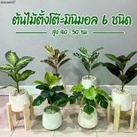 ราคา แนะนำ ต้นไม้ปลอม(ฟรี!! หินโรยกระถาง) ตั้งโต๊ะ ตั้งหน้าทีวี พร้อมกระถางและหินสีขาว ขนาดสูง 40 cm (1733002040257643883)