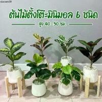 ราคา คลังสินค้า ต้นไม้ปลอม(ฟรี!! หินโรยกระถาง) ตั้งโต๊ะ ตั้งหน้าทีวี พร้อมกระถางและหินสีขาว ขนาดสูง 40 cm (1733004525027755374)