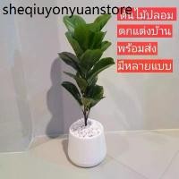 ราคา ต้นไม้ปลอม ไทรใบสัก ปลอม ต้นไม้ประดับบ้าน (1734044259001533797)