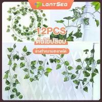 ราคา （12 ชิ้น）ดอกไม้ปลอมสวยๆ ต้นไม้ปลอมสวยๆ ต้นไม้ปลอม ดอกไม้ปลอม ดอกไม้ประดิษฐ์ ดอกไม้พลาสติก เถาวัลย์ปลอม ของตกแต่งห้อง ขอตกแต่งบ้าน ของตกแต่งคา (1734047625542469077)